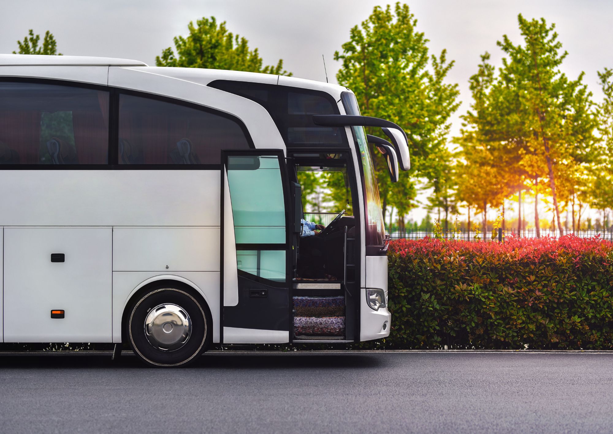 חברת הסעות מומלצת